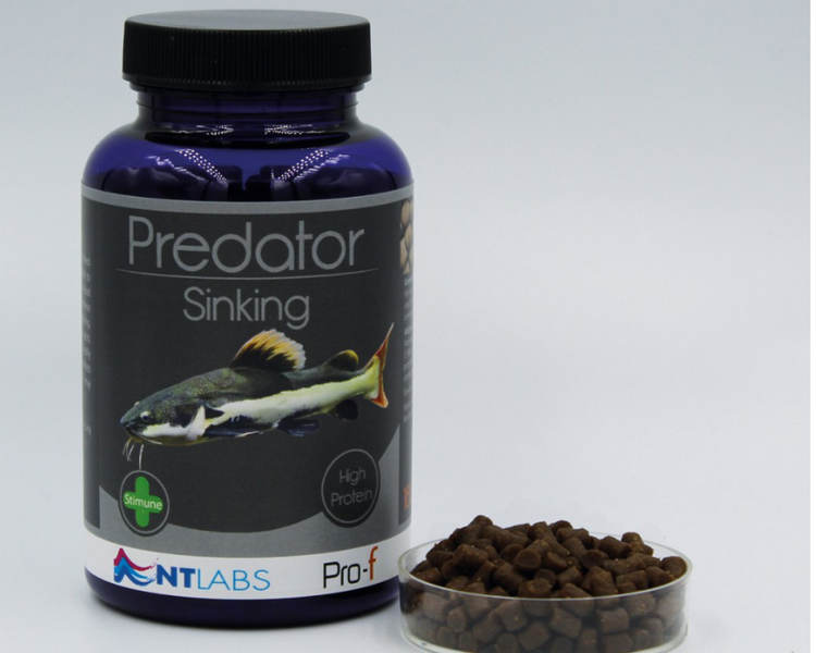 NT Labs Pro-f Predator Sinking Pellet - 450g